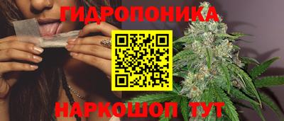 стафф Пугачёв