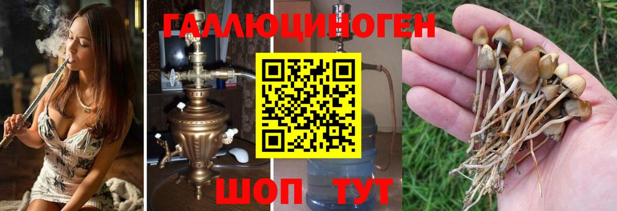 Орехово-Зуево  Галлюциногенные грибы GOLDEN TEACHER  Вход с VPN 